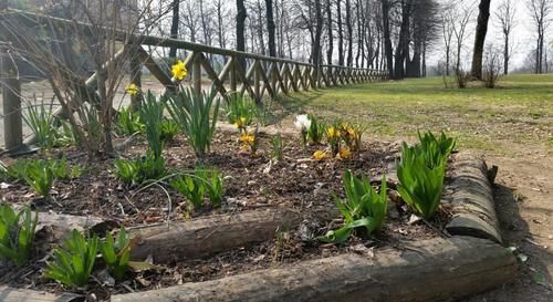Cascina Govean Alpignano Buitenkant foto